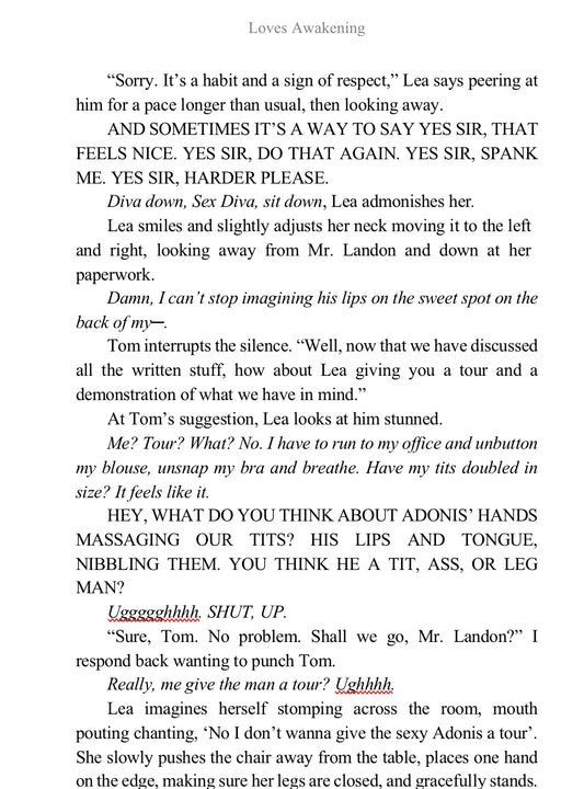 Book 1 - Love's Awakening - The Beginning - A Billionaires of Missouri Romance - Kia Lui Media